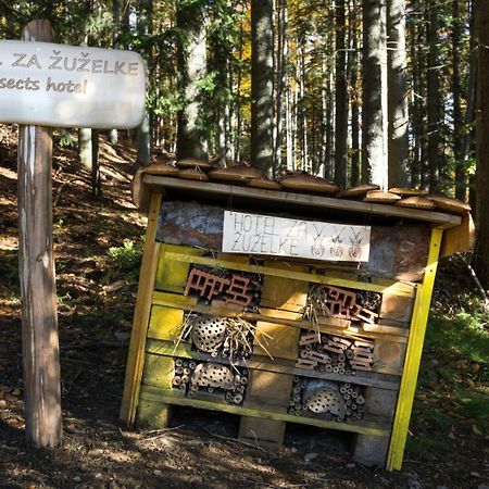 Green Village Rusevec Hočko Pohorje Exterior foto